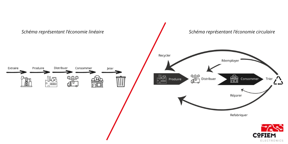 Fonctionnement de l’économie